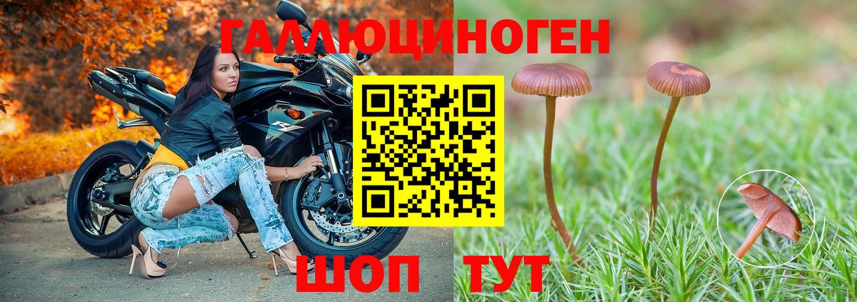 Псилоцибиновые грибы прущие грибы Верхний Уфалей